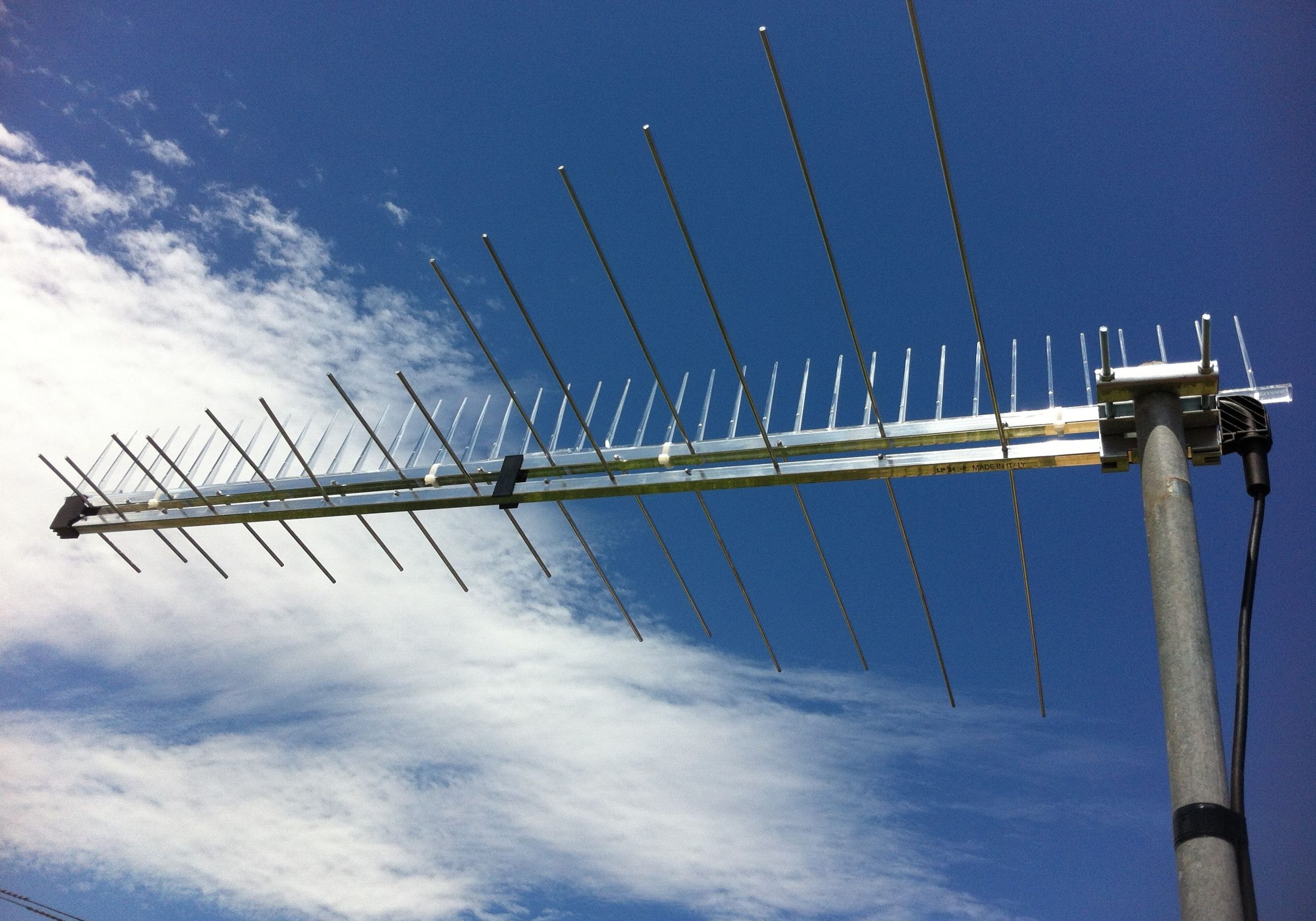 spiked antenna6 spiked antenna6